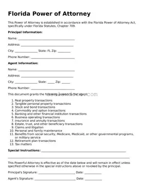 Attorney-Approved  Power of Attorney Form for Florida